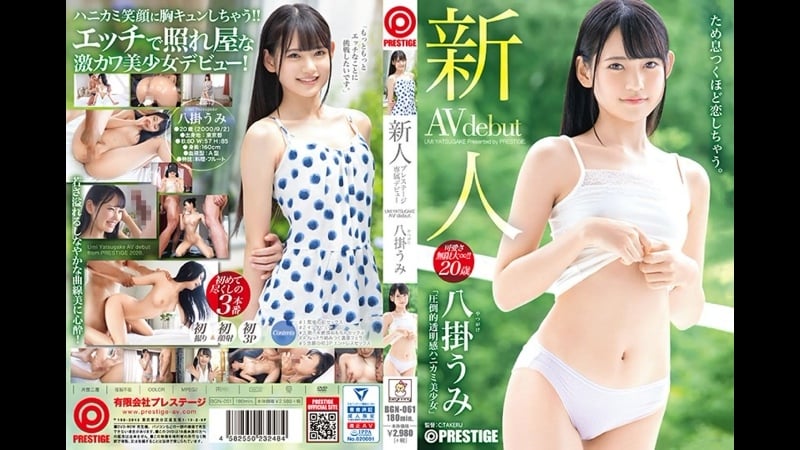 Bgn 061 umi yatsugake mosaic removed