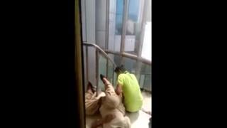 9362202 ضبط إصبع صبي باكستاني يدغدغ فتاة في سلالم الفندق Mp4