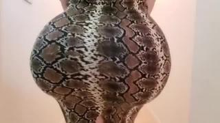 #sex Neighbor Had Long Dreamed Of Fucking This Burning Neighbor And One Day Hard Fucked Her 