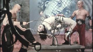 About Sexual Perversions (bdsm, Sadism & Masochism, Submission, Flogging, Sadism, Bondage) Les Fruits De La Passion (fruits Of Passion) 1981 