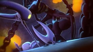 Hornet/the hollow knight(1)