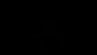 Pakistani tiktok star hareem mp4