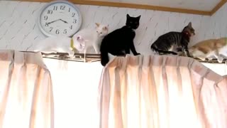 Jimin by porn ⁺¹⁸