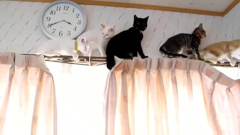 Jimin by porn ⁺¹⁸