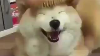 Taegi with namjoon by porn ⁺¹⁸