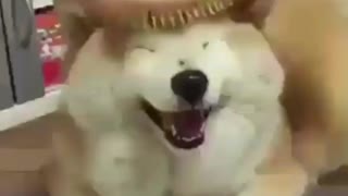 Jikook by porn ⁺¹⁸