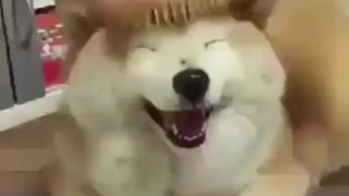 Sope by porn ⁺¹⁸