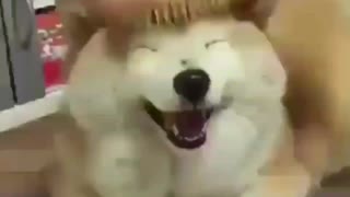 Yoonmin by porn ⁺¹⁸