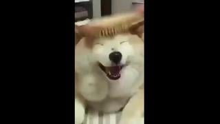 Namjin by porn ⁺¹⁸