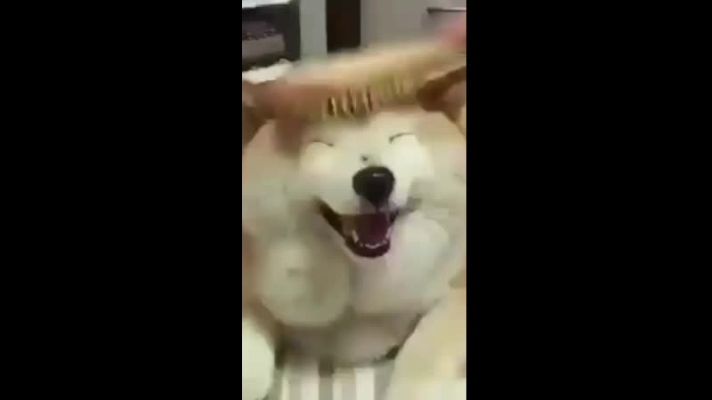 Namjin by porn ⁺¹⁸