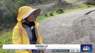 [nbc bay area] woman struck, killed by fallen tree in cupertino identified