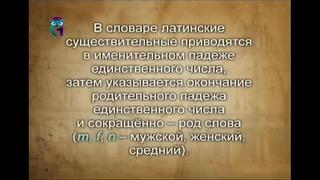 [образование для всех] латинский язык урок 1 9 части латинской речи имена, склонения