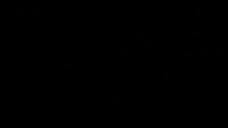 Член сводного брата случайно попал в киску сестры