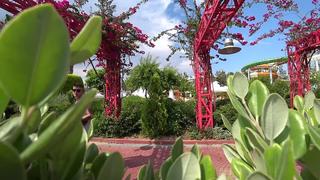 [holdik live] холдик на пляже ⛱