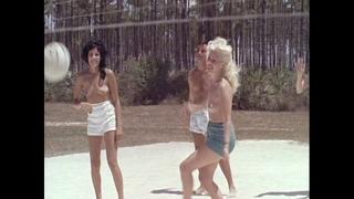 Дневник нудистски / diary of a nudist (1961)