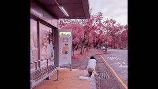 Выдернули хвост анал анальная пробка на улице pulled out tail anal plug public