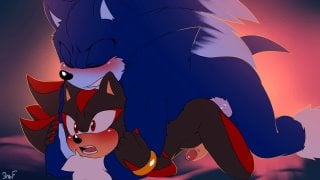 Yaoi sonic + shadow 🥵