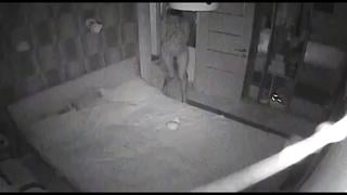 Муж поставил скрытую камеру , русское домашнее порно молодые трахнул реальная измена слив бывшей телеграм