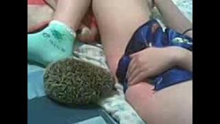 Дала в жопу за цветы (порно sex трах fuck домашнее porno любительское teen home