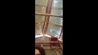 bangladeshi sexy cute village girl romance(frozen) mp4