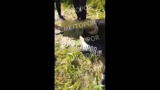 Caught a bookmore and her boyfriend 