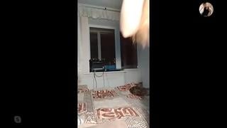 Shows her body in detail on Skype [incest, milf, blowjob, sex, anal, mommy, tits, brazzers, pornhub, porn, mature, ass, cunnilingus, sister, pussy]