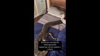 Отправь той самой 😆