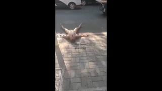 Ебать жестко будет😁
