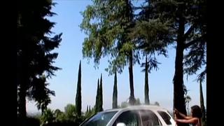 Ms panther curvaceous