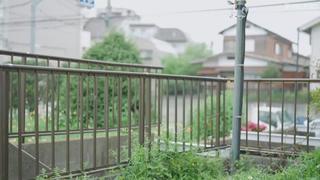 Fsdss 865 u
