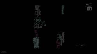 Mida 402 umr (2025) | himari
