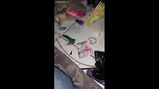 Sepasang live ceweknya kesakitan