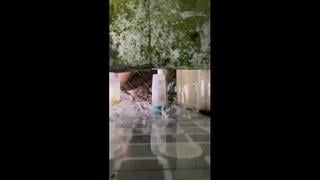 [doodshare] Ngintip Bude Lagi Mandi 1 Mp4