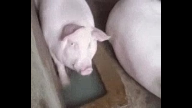 More than a dozen newly unsealed court documents tied to jeffrey epstein dropped monday morning adding to the thousands of pag