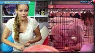 rus_sissy_assfuck_female_domination_trainer_hardcore_trans_teaching__hypnosis_feminization__handsfree__nohands_cumshot__pmv__compilation