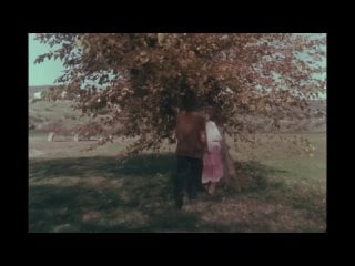 Maladolescencia (maladolescenza) #1977 - BEST XXX TUBE