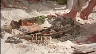 Survival island (2005)