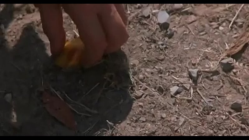 The second wife (1998)