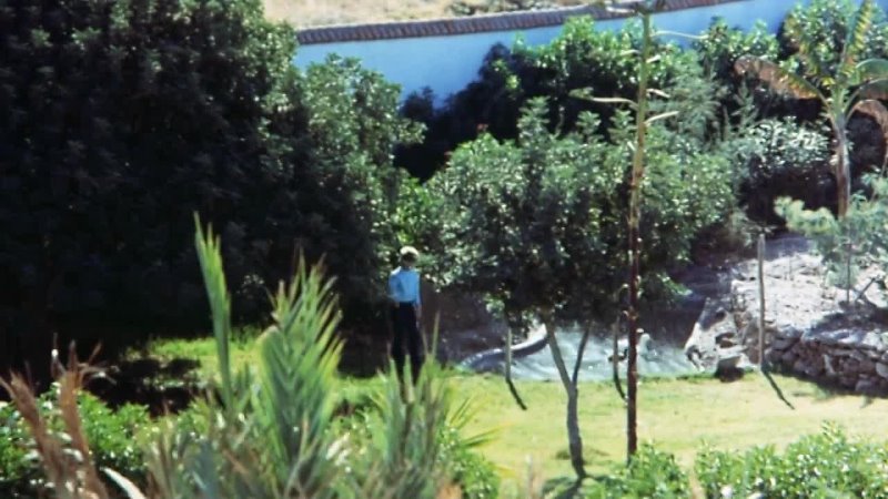 What the peeper saw (1972)