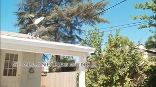 Official Wife Swap Gonzo Parody (2010) Part 1