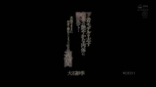 Roe 211