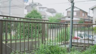 Fsdss 865