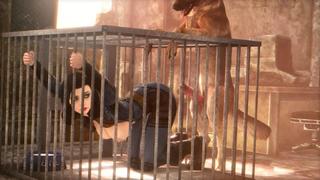 хентай girl dog Girl with horse 3d, hentai, dog, porn, sex, big ass, big tits, monster,  horse, ghost, 3д порно, молодые, лошадь, хентай watch online