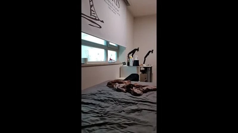 Asian korean korea chester koong mp4