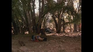 Дженнифер лопес (jennifer lopez sex scenes in "u turn" 1997)