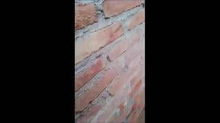 Pakistani leaks mp4