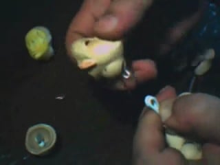 My ball jointed dolls