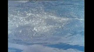 Язык тела / Body Language (1996)