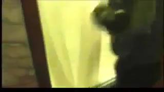 Молодая пара м ж чмор раба (русское видео) cuckold slave humiliation