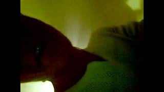 In The Ass Is Very Painful (porn Sex Sex Was Fucking Blowjob Anal Fucked Drunk Drunken Loaf Naked Sucks Dick Graduation Young Mzhm 